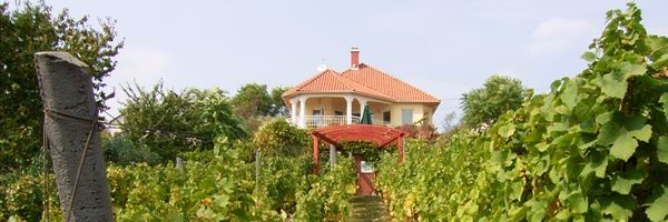 Ferienhaus Ungarn am Velencer-See - Holiday Hungary Ferienhaus von privat Mieten Ferienhaus in Ungarn am Velence-See Sukoro mit Kamin Pool Sauna - Anreise mit Hund 