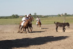 Reiterspiele in der Puszta